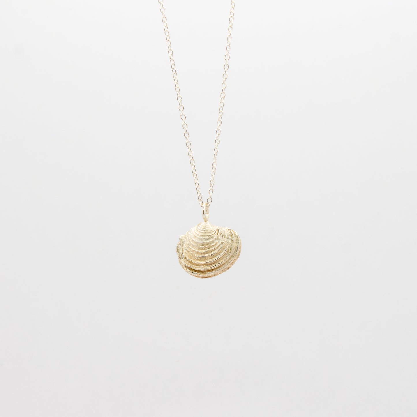 Venus clam Necklace