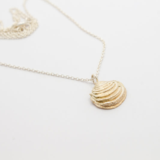 Venus clam Necklace