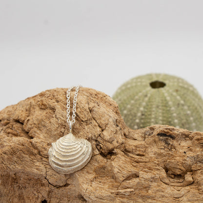 Venus clam Necklace